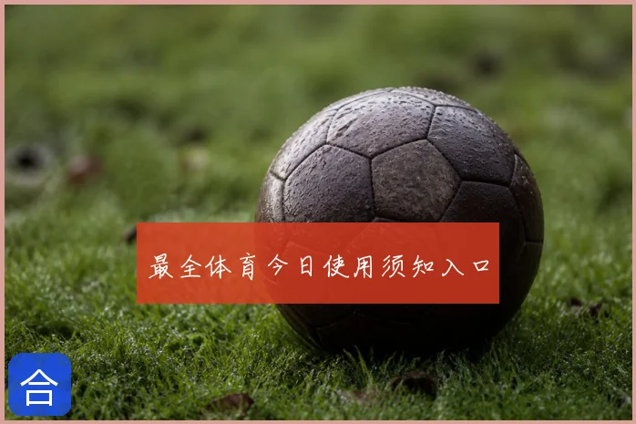 最全体育今日使用须知入口