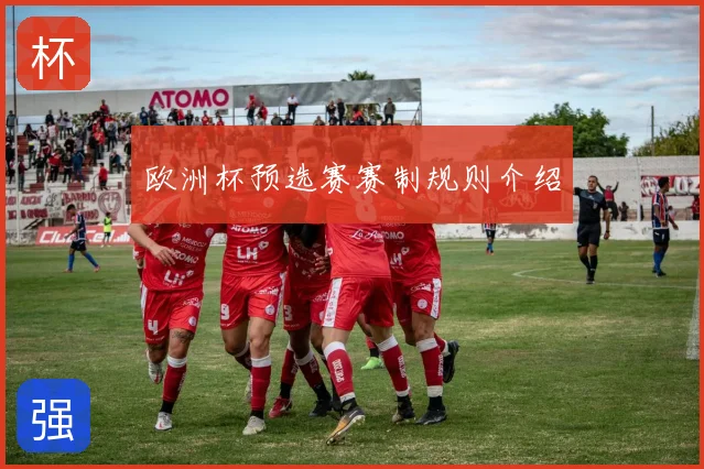 欧洲杯预选赛赛制规则介绍